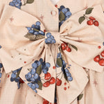 2fbbe3a7c812ff5d007744e2b4bb6930