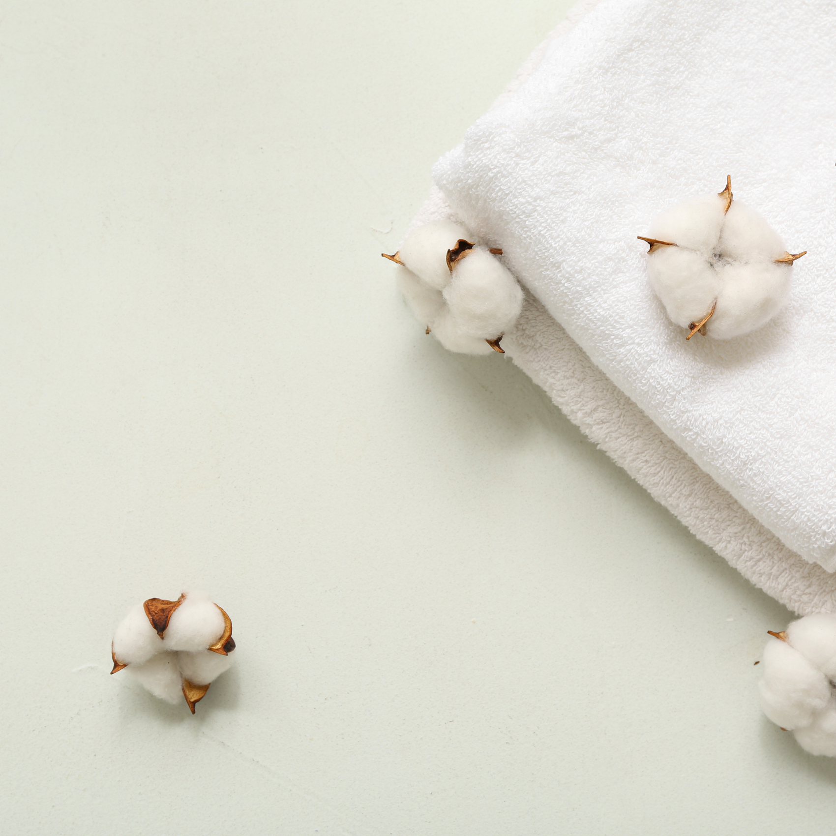 Zertifikate für Baumwolle, Bambus, Leinen