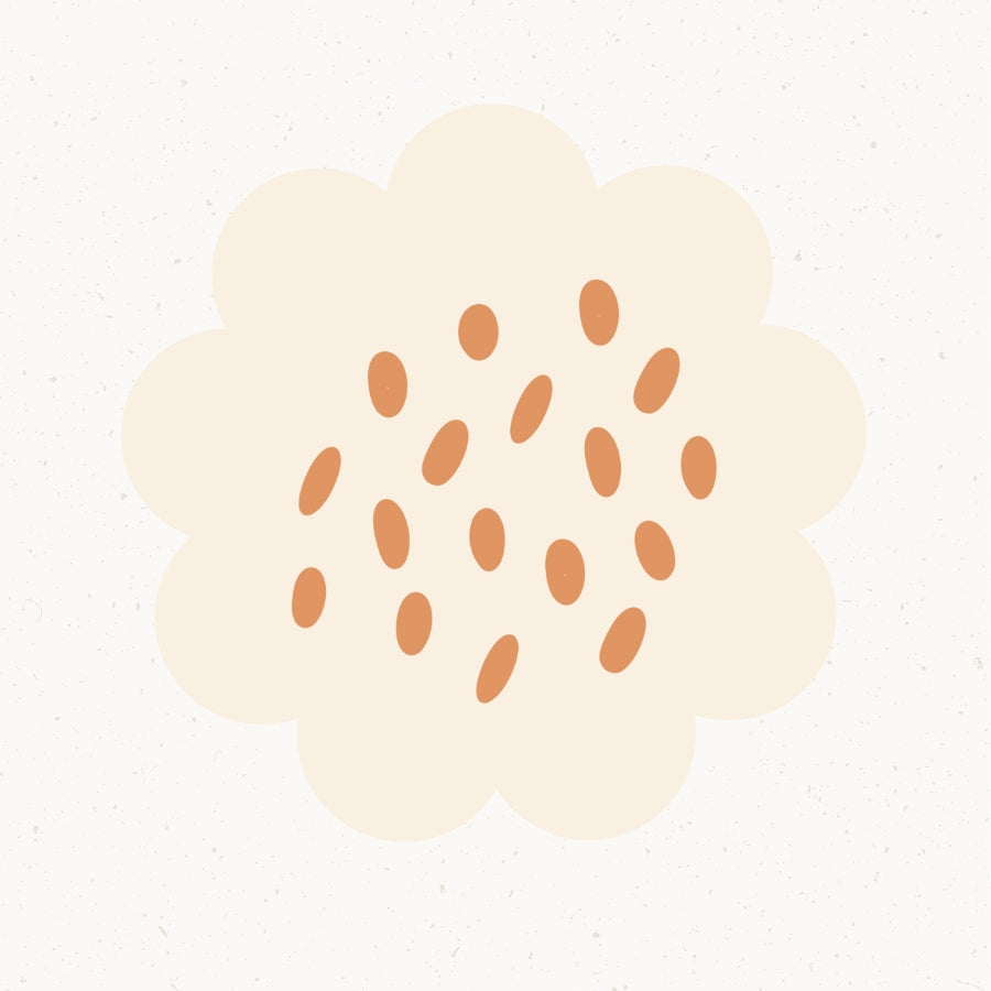 5. Schwangerschaftswoche