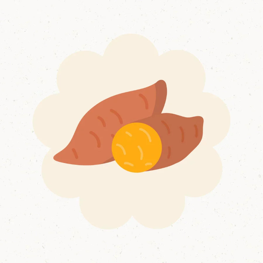 18. Schwangerschaftswoche