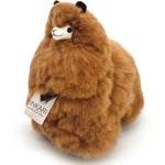 76d1acd6fc5f9f24c90522f0dad8a386