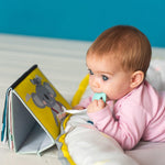 b216a34d08e53e35cee987d73f8387b6