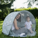 Imagine diapozitivă