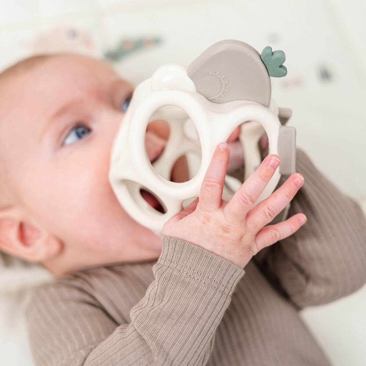 8fbe7b5282686fea3240d0f2df3d01d5