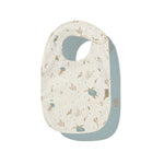Imagine diapozitivă