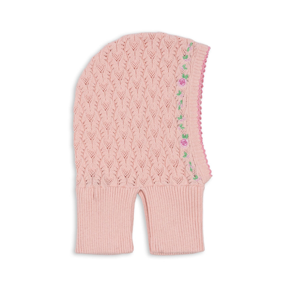 Imagine diapozitivă