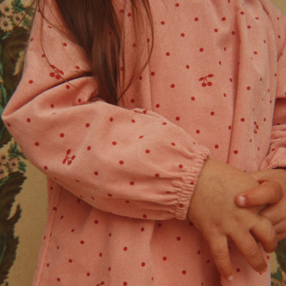 Imagine diapozitivă
