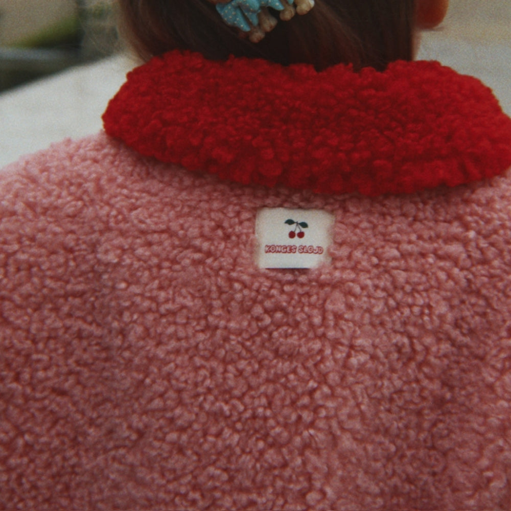 Imagine diapozitivă
