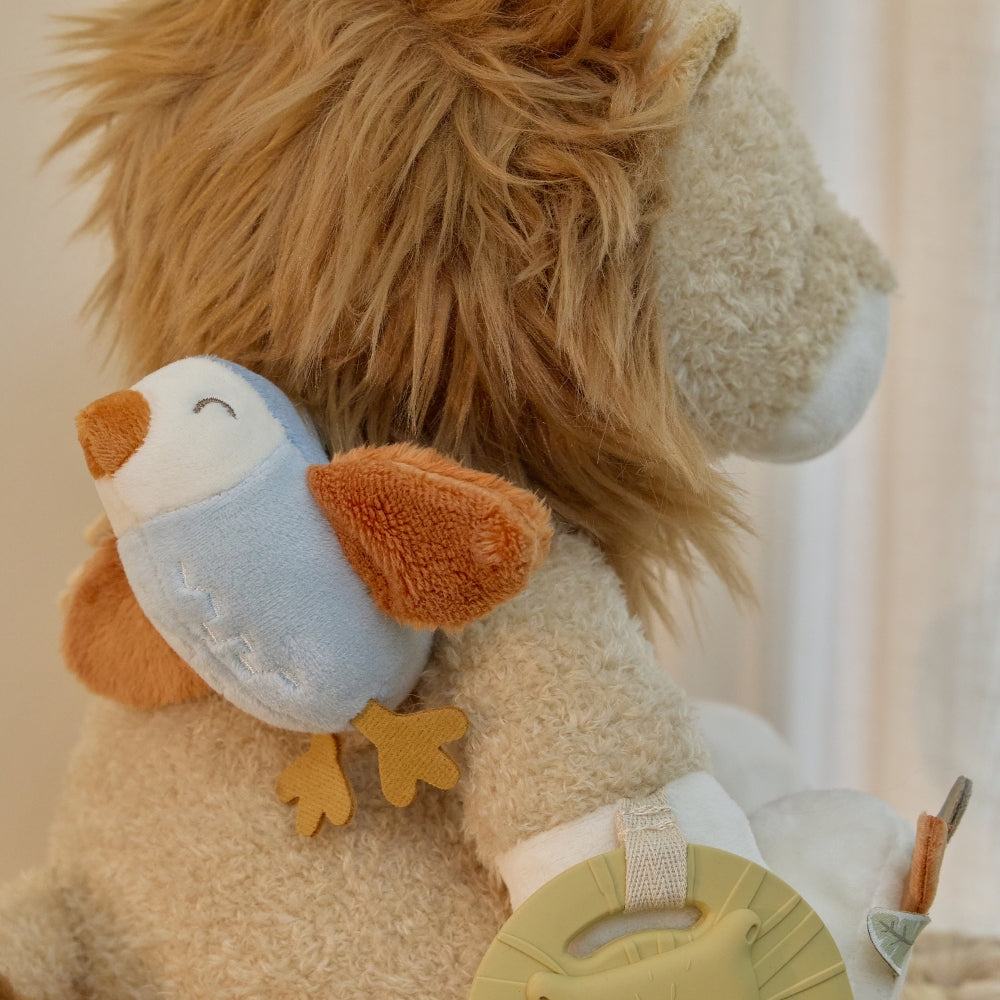 Imagine diapozitivă