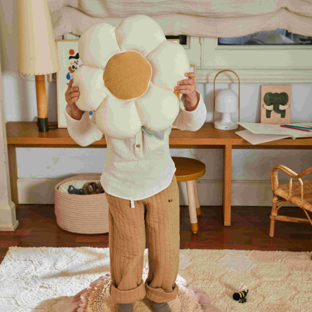 Imagine diapozitivă
