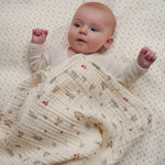 4afe1a9929f95211afdeff49801b6fe9