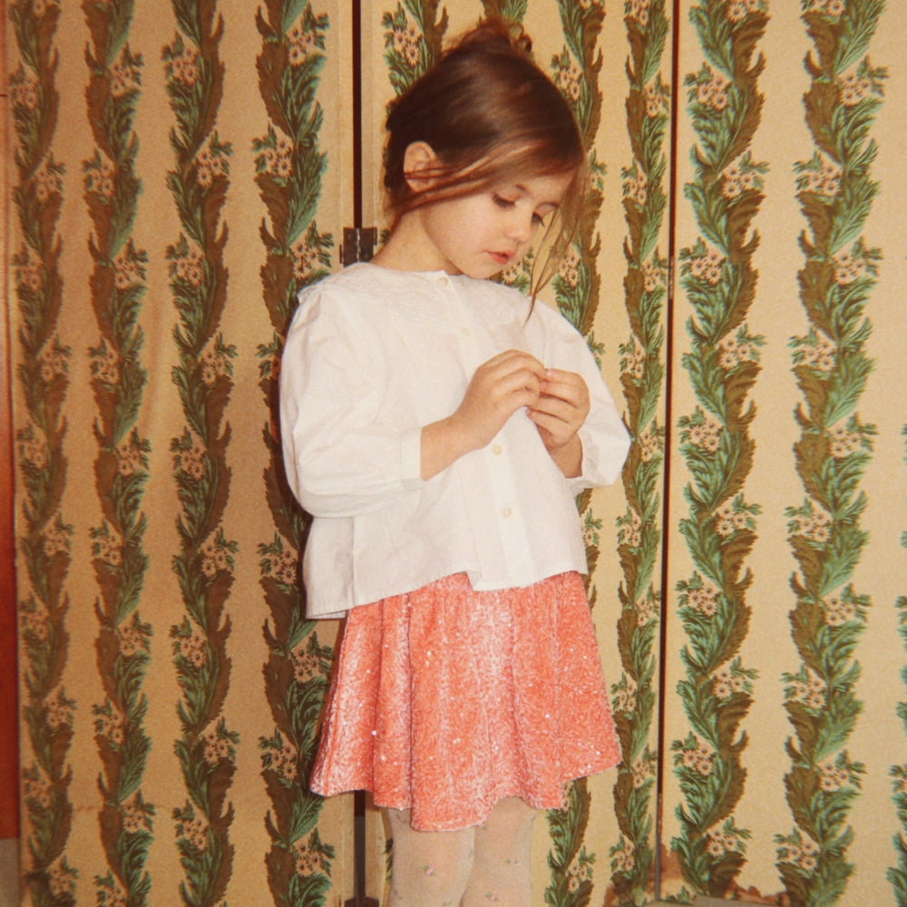 Imagine diapozitivă