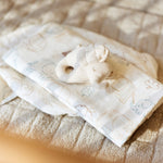 33c3cde23f5534b621a75186302a2515