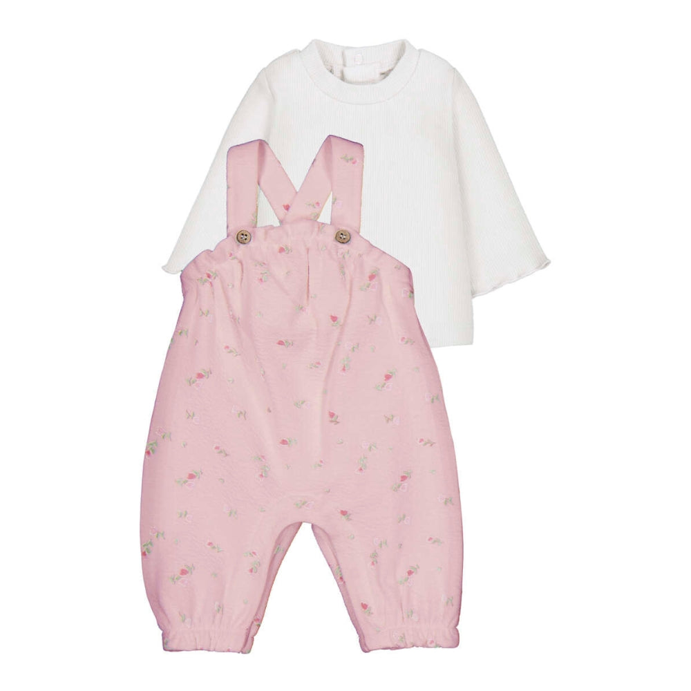 Imagine diapozitivă