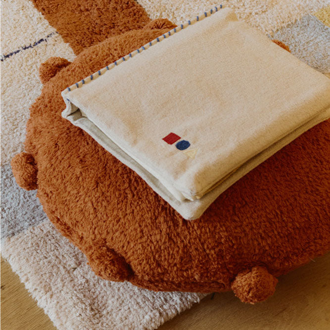 Imagine diapozitivă