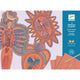 Djeco Scratch-offs pentru copii Îngeri