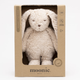 Moonie Rabbit nisip senzorial