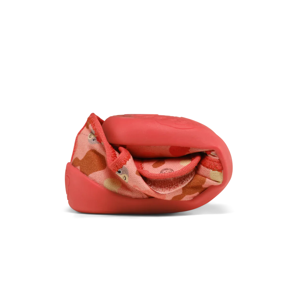 Imagine diapozitivă