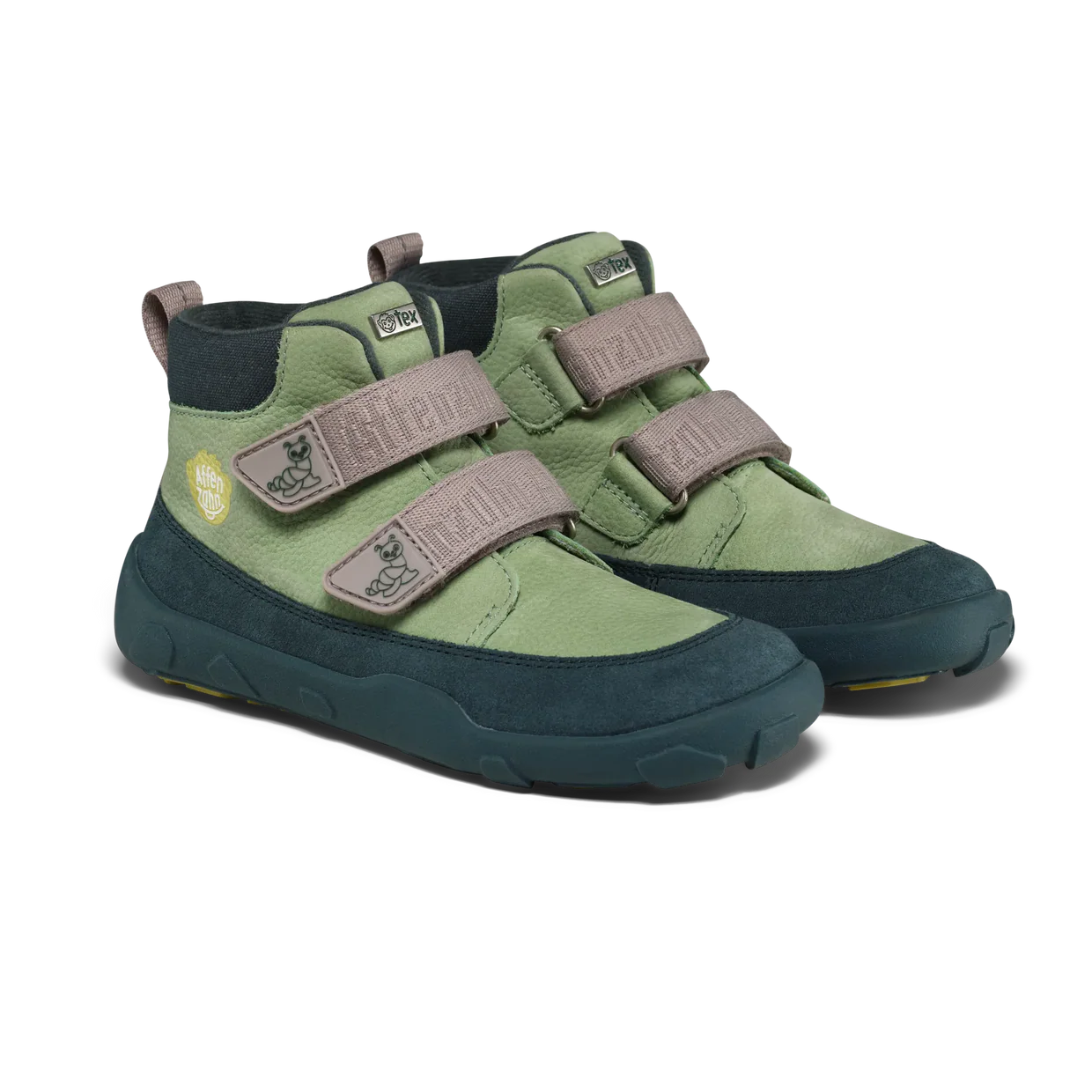 Imagine diapozitivă